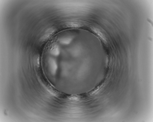 X0000099380358200805081451