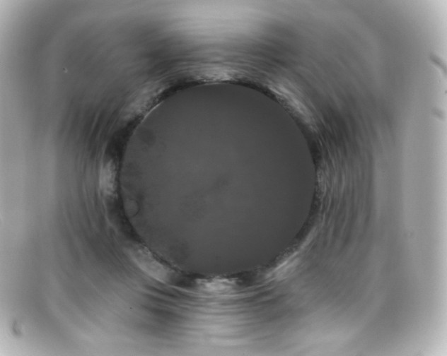 X0000099380359200805081451