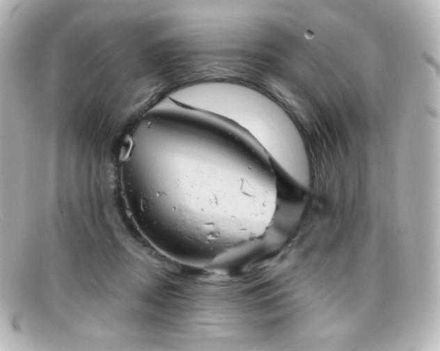 X0000099380362200805081451