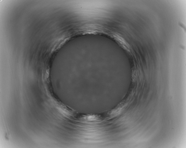 X0000099380365200805081451