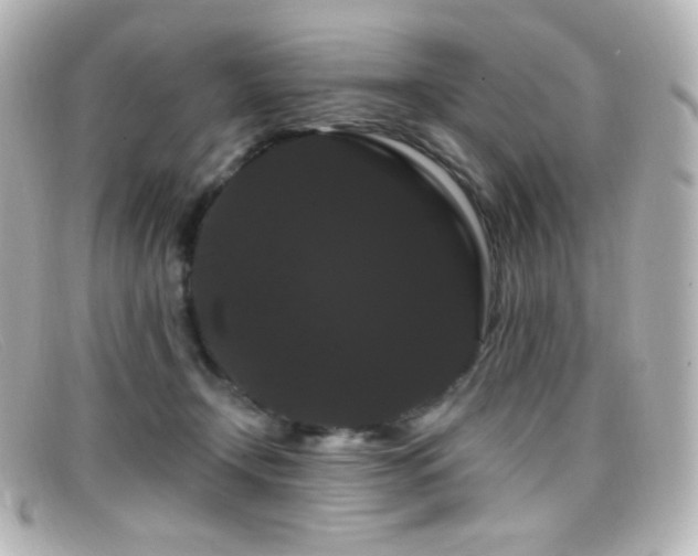 X0000099380366200805081451