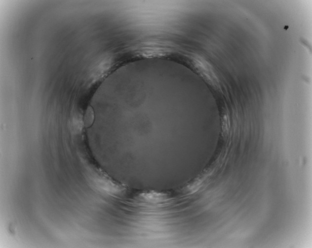 X0000099380367200805081451