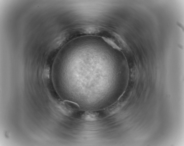 X0000099380368200805081451