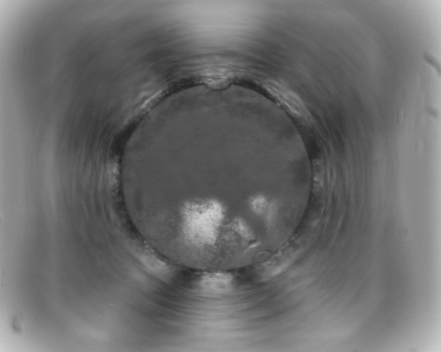 X0000099380369200805081451