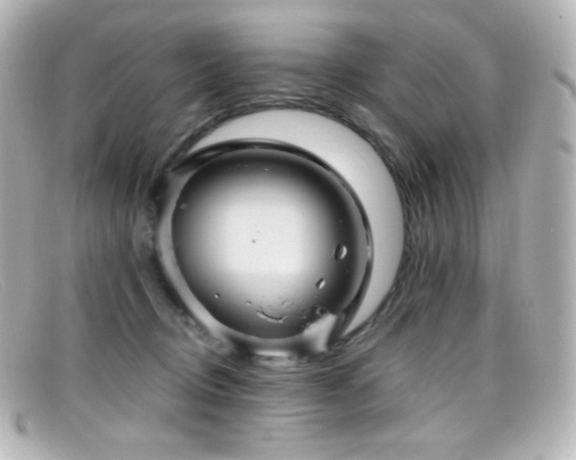 X0000099380370200805081451