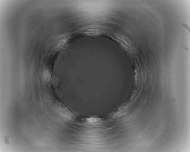 X0000099380371200805081451