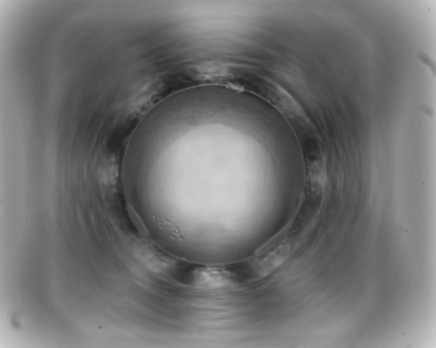 X0000099380372200805081451