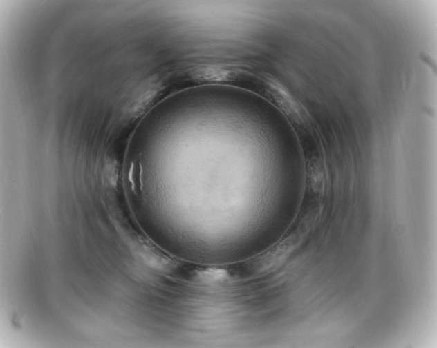 X0000099380374200805081451