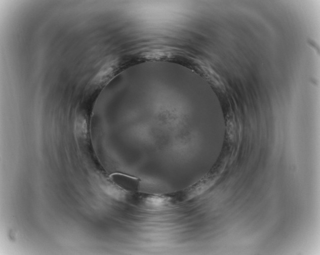 X0000099380375200805081451