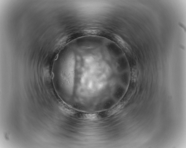 X0000099380377200805081451