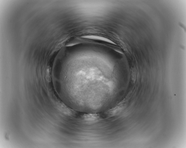 X0000099380378200805081451