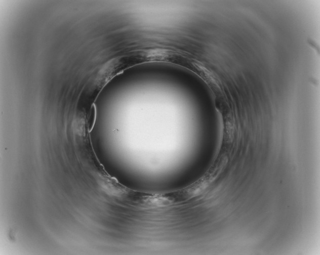 X0000099380379200805081451