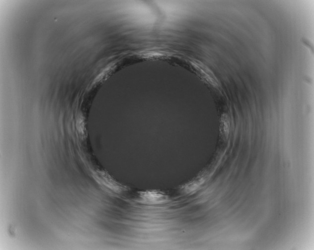 X0000099380380200805081451