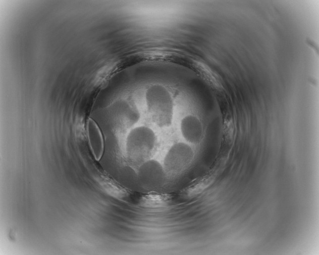 X0000099380381200805081451