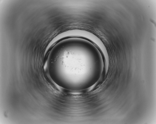 X0000099380382200805081451