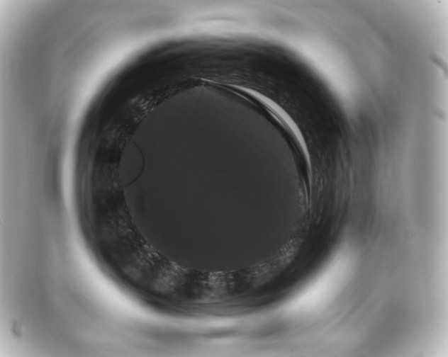 X0000099380383200805081451