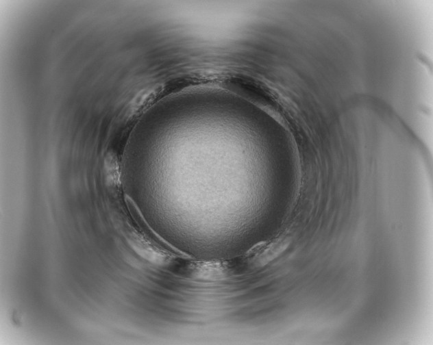 X0000099380384200805081451