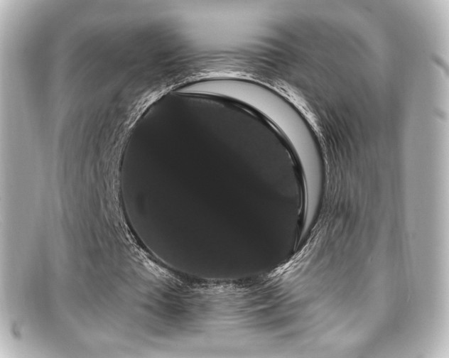 X0000099380385200805081451