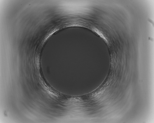 X0000099380386200805081451