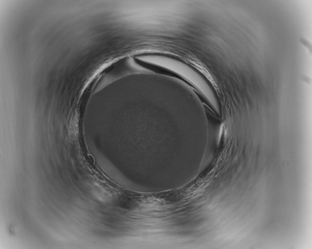 X0000099380387200805081450