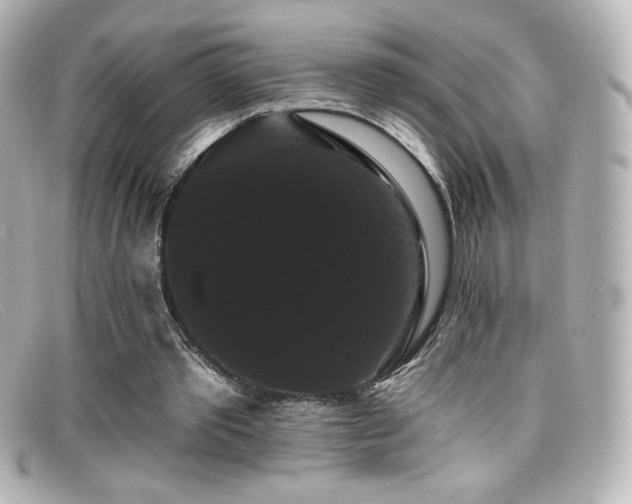 X0000099380389200805081450