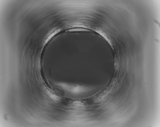 X0000099380390200805081450