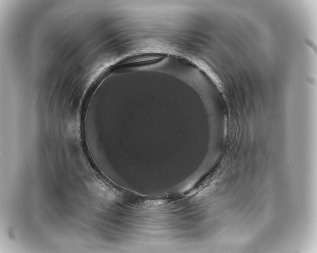 X0000099380391200805081450