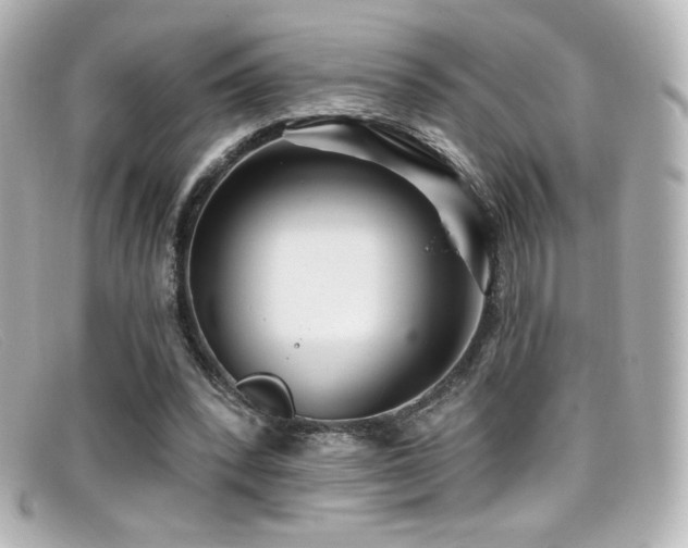 X0000099380392200805081450