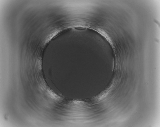 X0000099380393200805081450