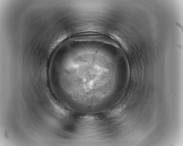 X0000099380394200805081450