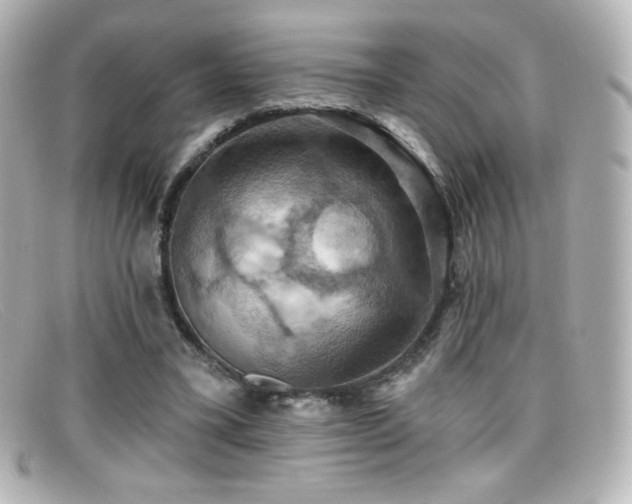 X0000099380395200805081450