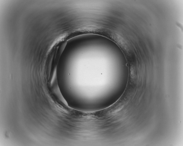 X0000099380396200805081450