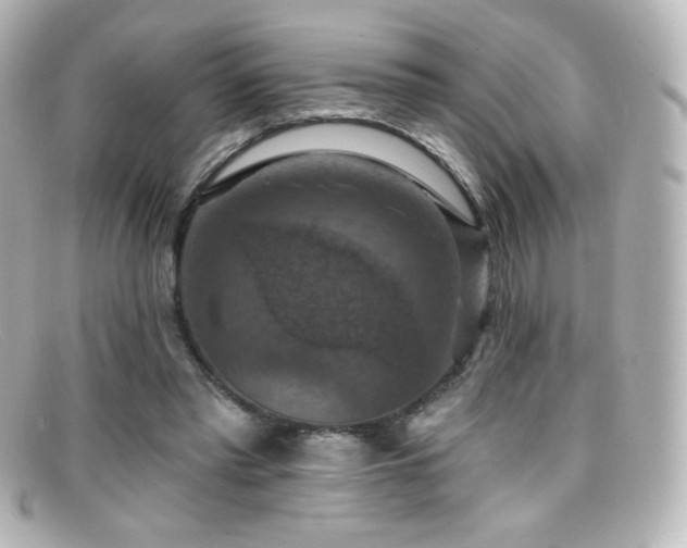 X0000099380397200805081450