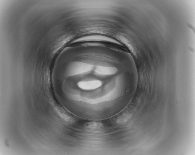 X0000099380398200805081450