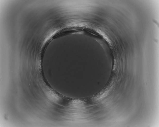 X0000099380399200805081450