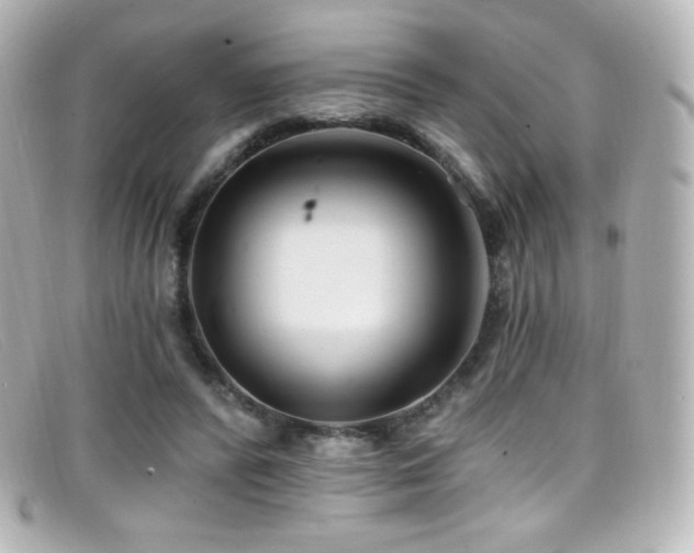 X0000099380400200805081450