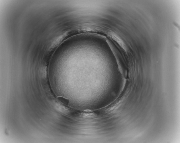 X0000099380401200805081450