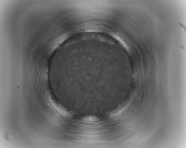 X0000099380402200805081450