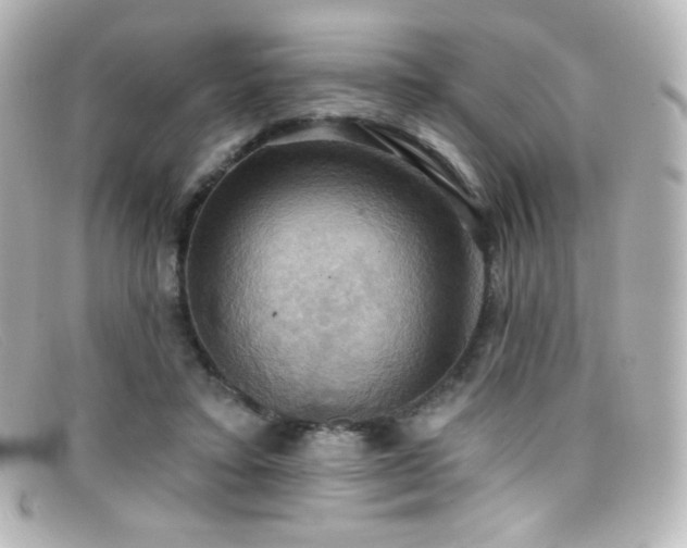 X0000099380403200805081450