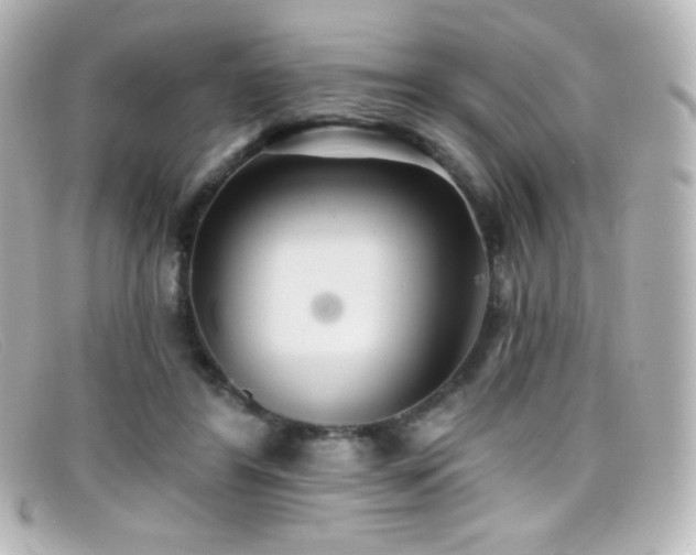 X0000099380404200805081450