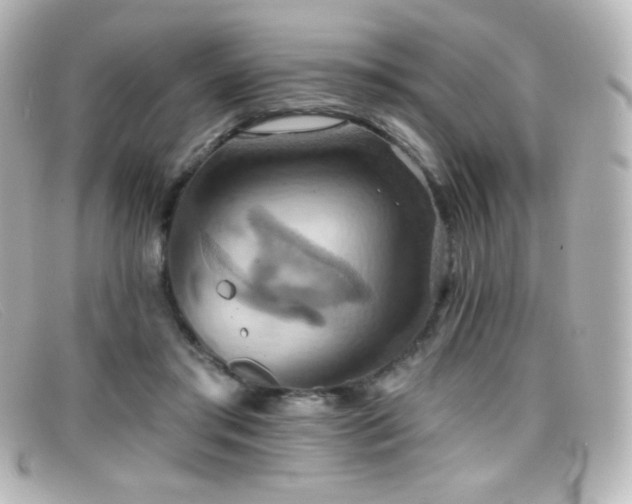 X0000099380405200805081450