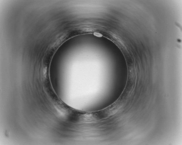 X0000099380406200805081450