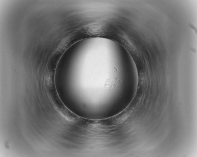 X0000099380408200805081450