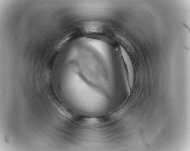 X0000099380409200805081450