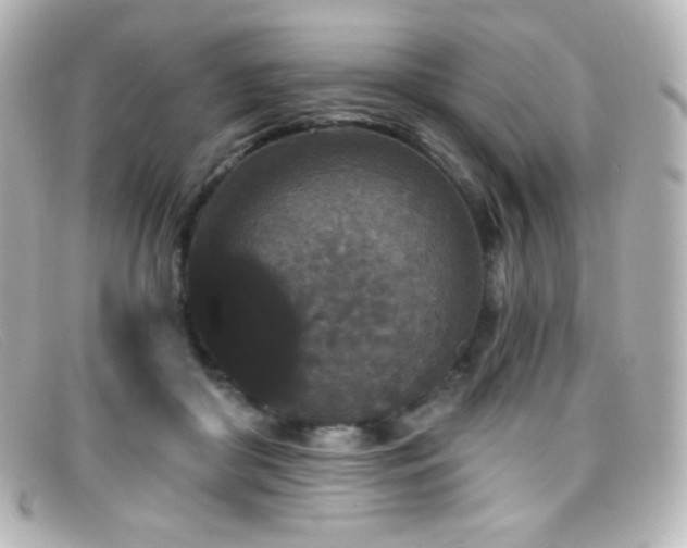 X0000099380410200805081450