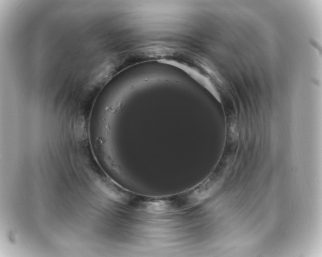 X0000099380411200805081450