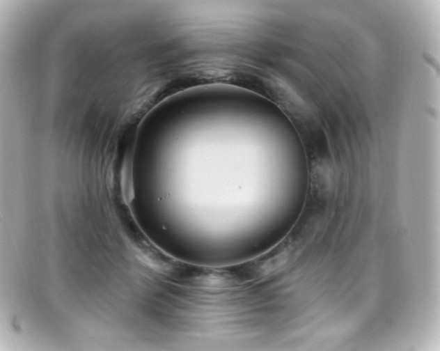 X0000099380412200805081450