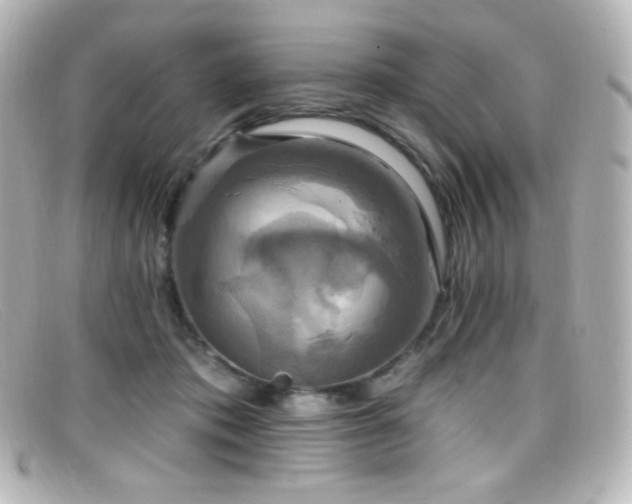 X0000099380413200805081450