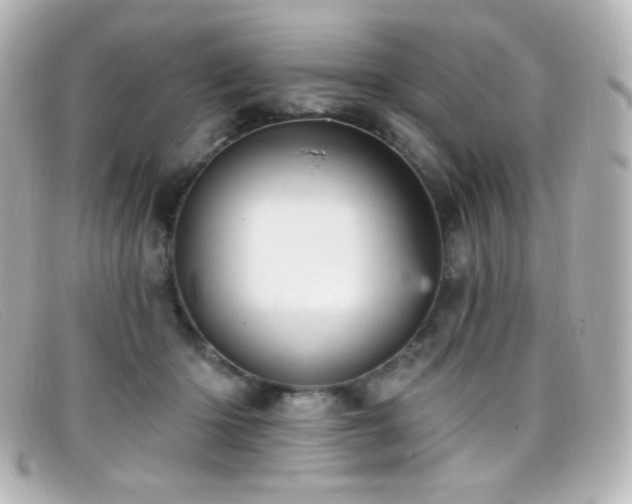 X0000099380414200805081450