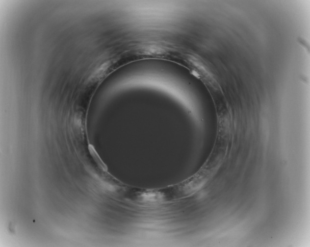 X0000099380415200805081450